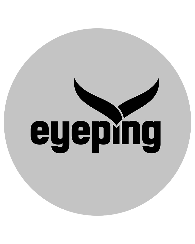 EYEPING partnership